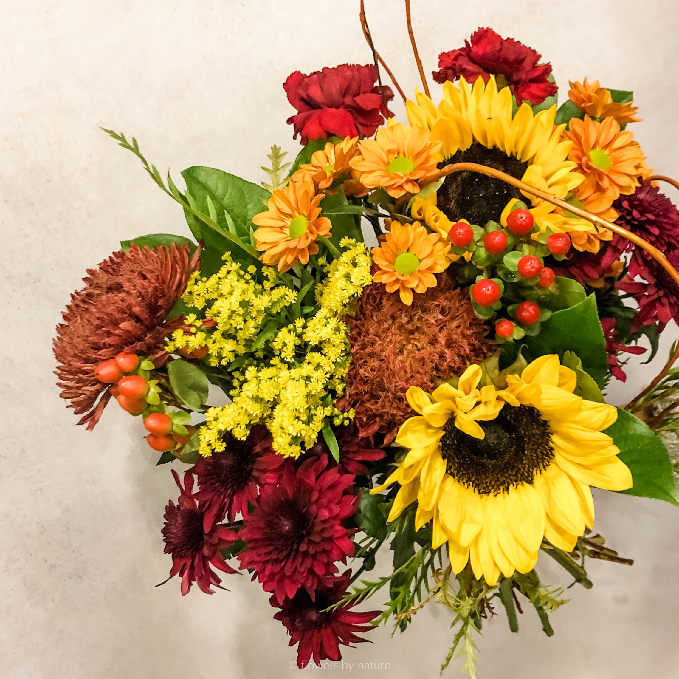 Sun Kissed Flowers By Nature