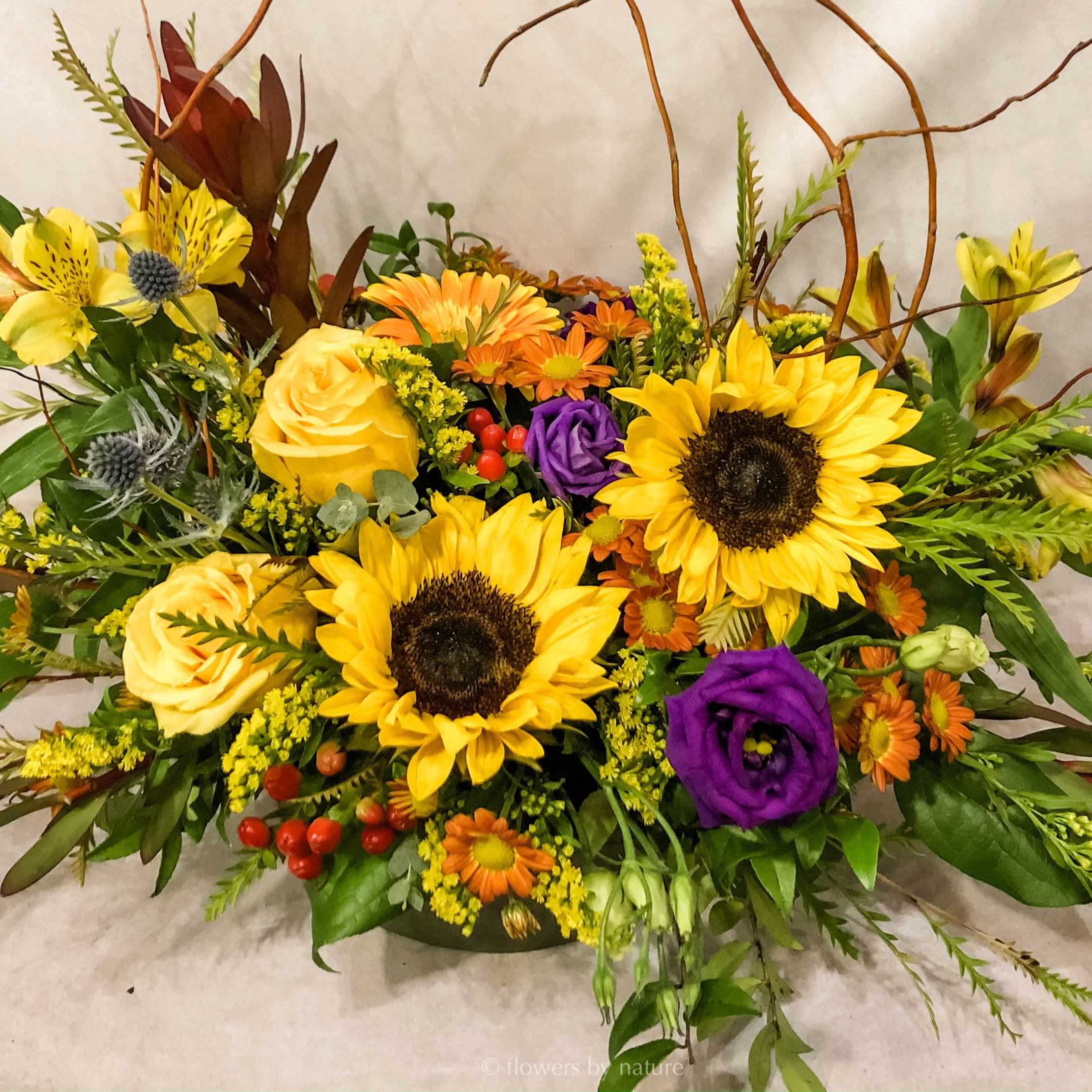 Bountiful Flowers By Nature