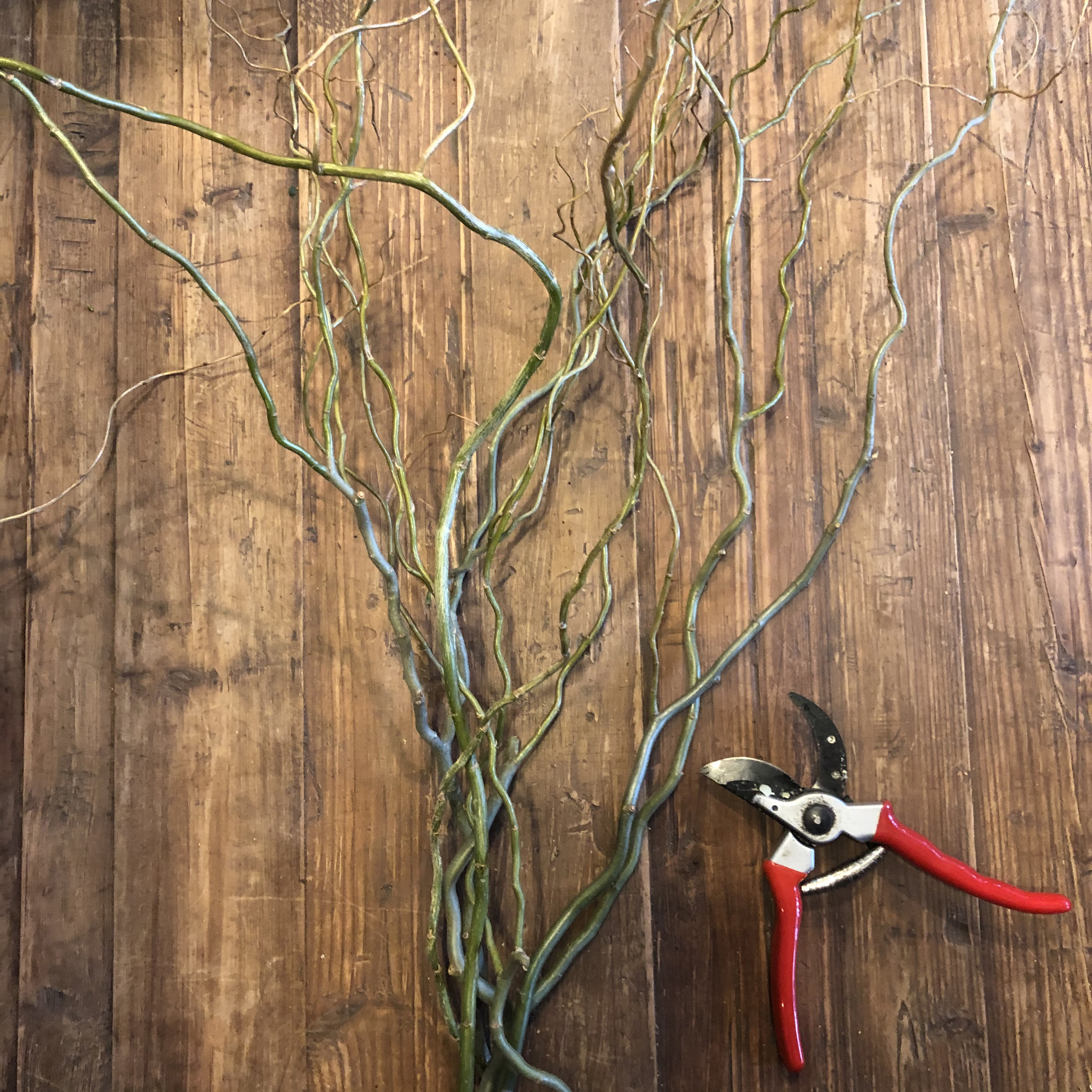 Curly Willow Bundle Flowers By Nature