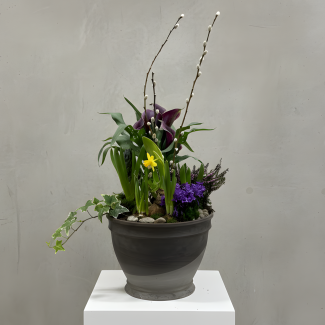 Spring Bulb Garden - Large