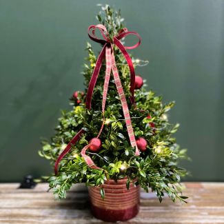 Farm Tree Christmas Boxwood