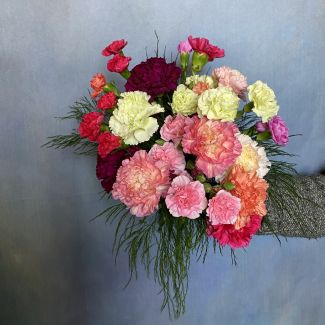 Fresh Pick: Mixed Carnations