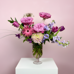 Sandra - Arrangement