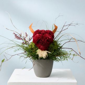 Buffalo - Arrangement