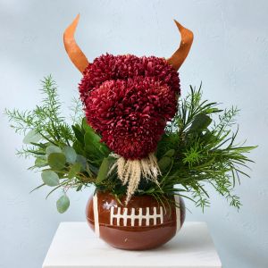 Buffalo (Football) - Arrangement