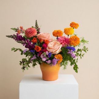 Marigold Fields - Arrangement