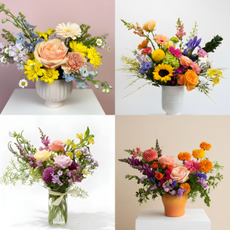 Designer's Choice - Arrangement