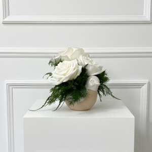 Peaceful Dove - Arrangement