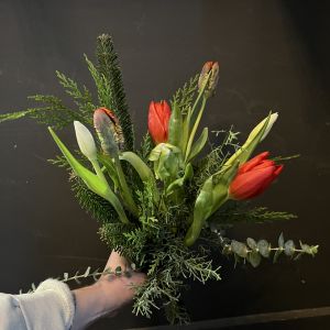 Spring Me!