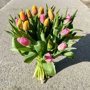 40 TULIP BOUQUET