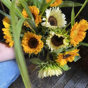 Sunflower Bouquet