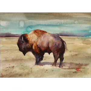 Watercolor Buffalo - Greeting Card