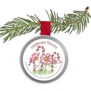 Kids Ornament - Candycane Flowers