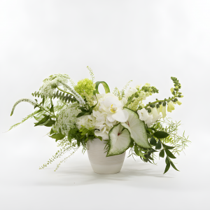 Angelina - Arrangement