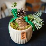 Amaryllis Bliss Garden