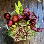 Amaryllis Christmas Garden