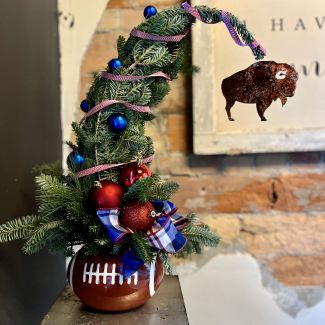 All I want for Christmas is a Bills Superbowl!