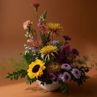 Equinox - Arrangement
