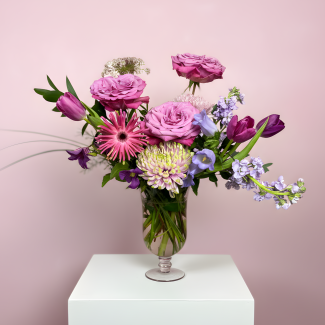 Sandra - Arrangement