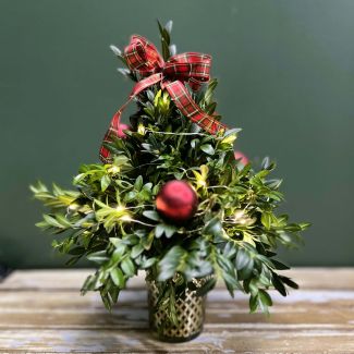 Mini Holiday Boxwood Tree