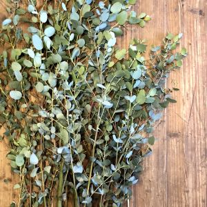 Gunni Eucalyptus 