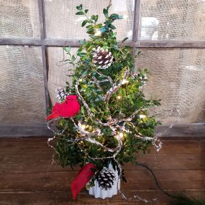 22” Tabletop Boxwood Tree w/ lights 