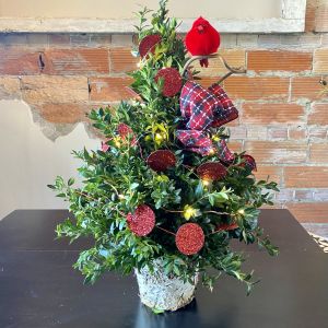 Cardinal Boxwood Arrangement