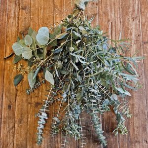 Eucalyptus Medley