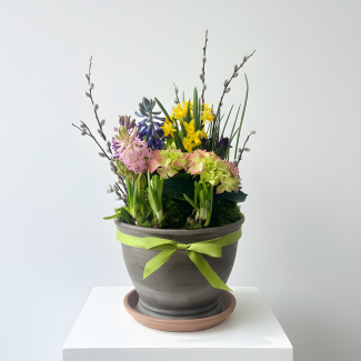 Spring Bulb Garden - Large