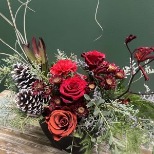 Mulberry - Arrangement