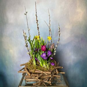 Spring Bulb Garden in Nest Basket