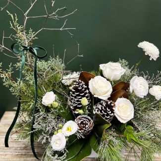 Northern Woods - Arrangement