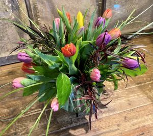 Tulip arrangement