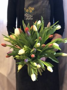 double Tulip BOGO