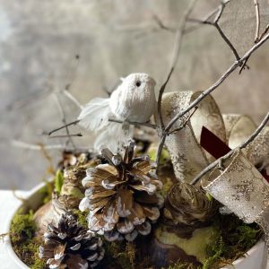 Amaryllis Christmas Garden