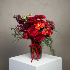 Lauren - Arrangement