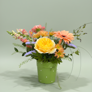 Polka Dot Pot - Arrangement