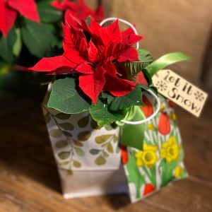 Perfect Poinsettia Gift