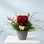 Buffalo - Arrangement