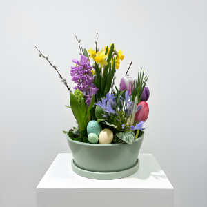 Spring Bulb Garden - Medium