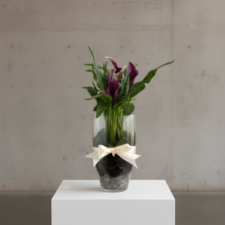 Calla Lily Bulb Arrangement