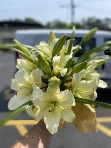 Lily Bouquet