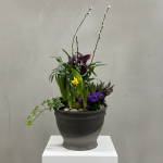 Spring Bulb Garden - Large