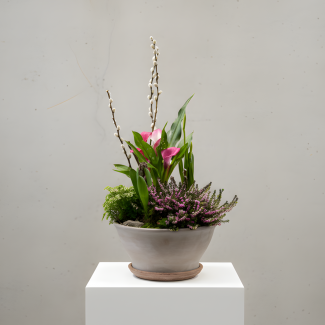 Spring Bulb Garden - Medium