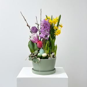 Spring Bulb Garden - Small