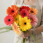 Gerbera Bouquet