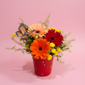 Polka Dot Pot - Arrangement