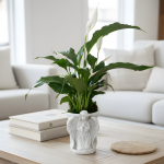 Praying Angel - Peace Lily