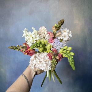 Snapdragons and Hyacinth