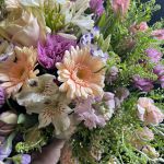 Designer's Choice - Arrangement